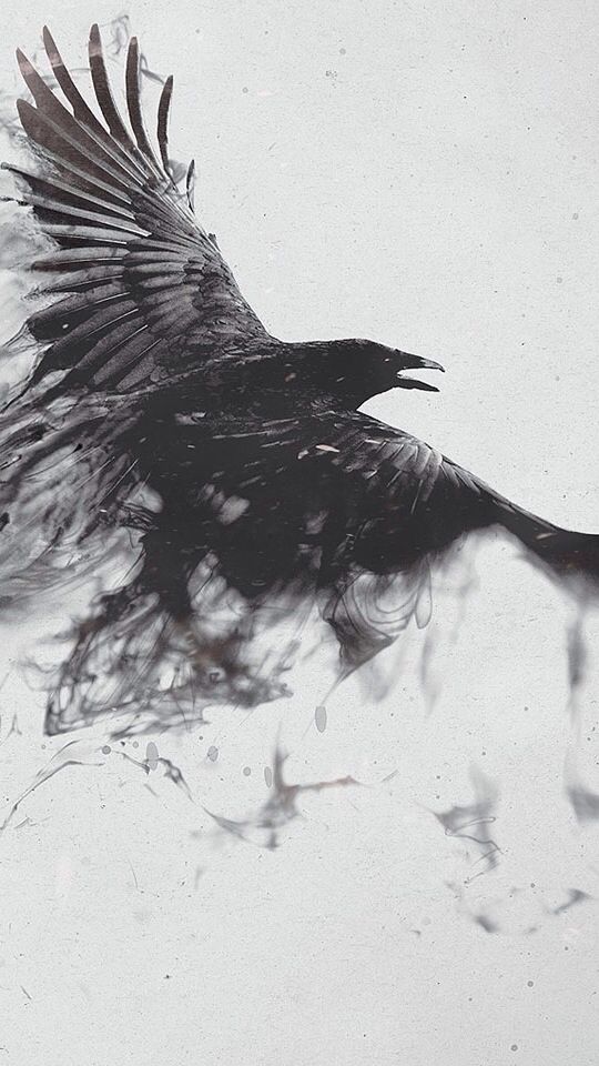 Crow Tattoos 84
