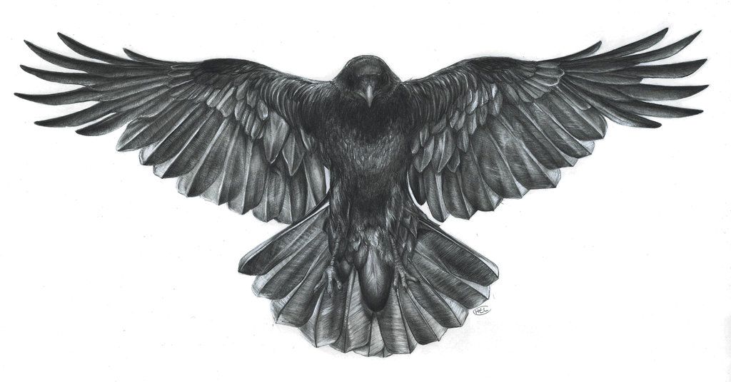 Crow Tattoos 95