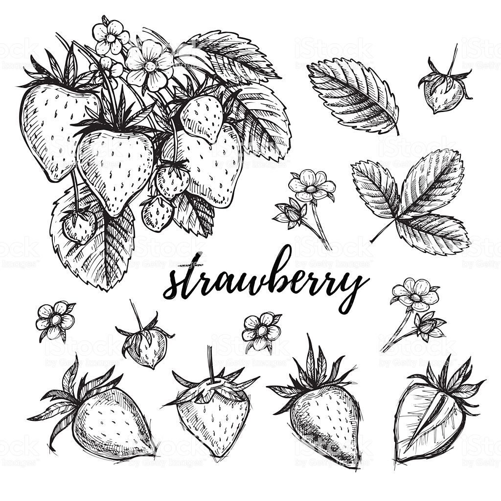 Strawberry Tattoos 64