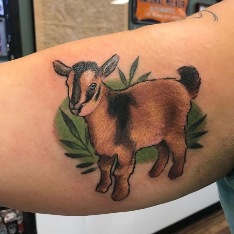 Goat Tattoos 177