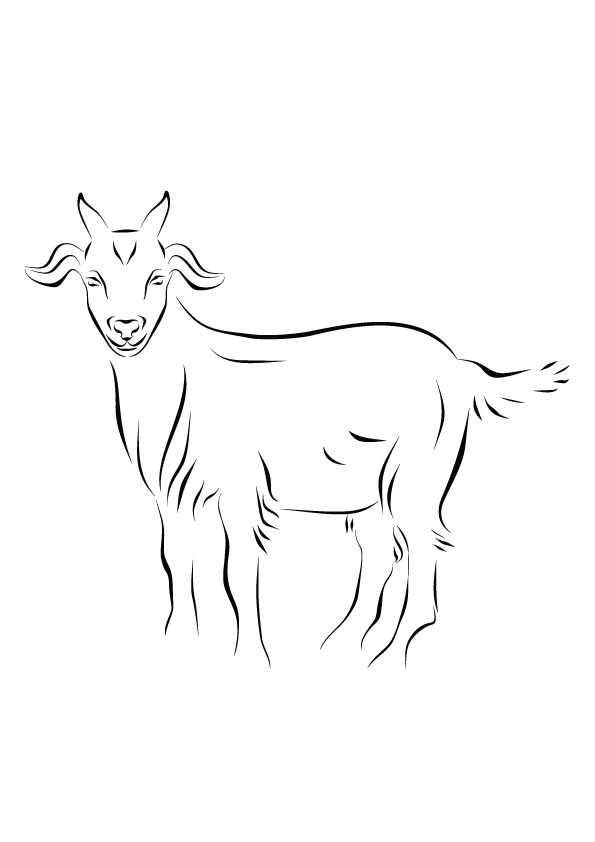Goat Tattoos 27