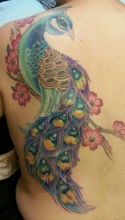 Peacock Tattoos 1