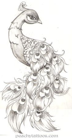 Peacock Tattoos 10