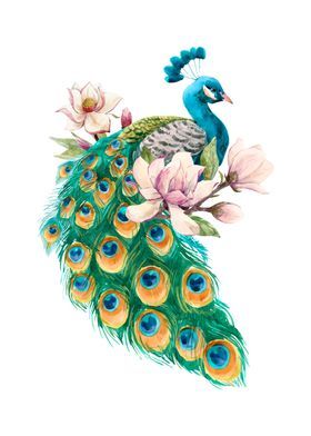 Peacock Tattoos 167