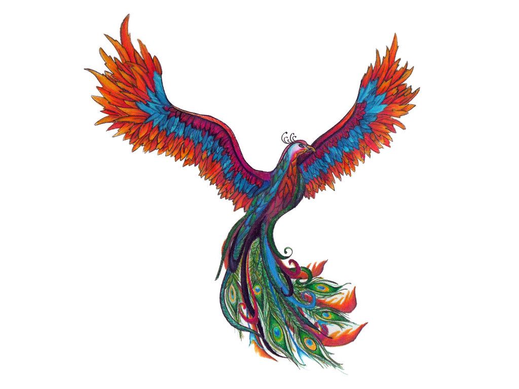 Peacock Tattoos 200