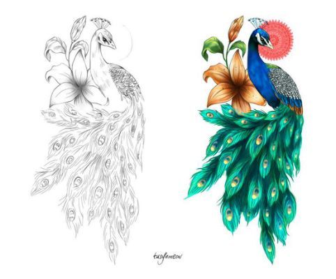 Peacock Tattoos 202