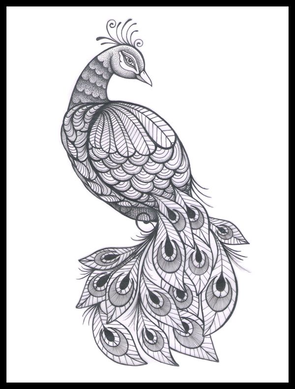 Peacock Tattoos 204