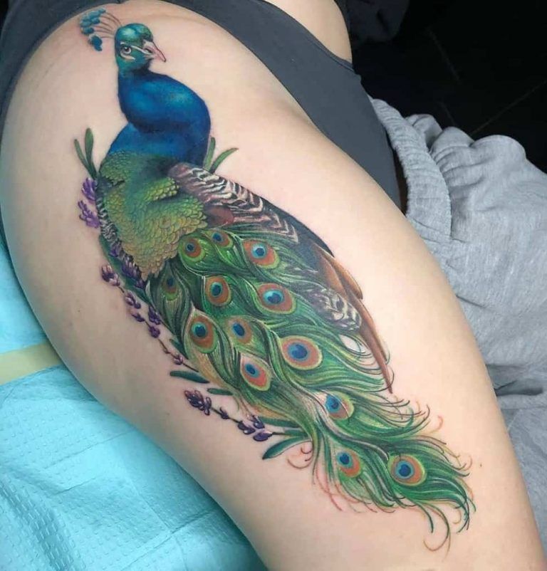 Peacock Tattoos 34