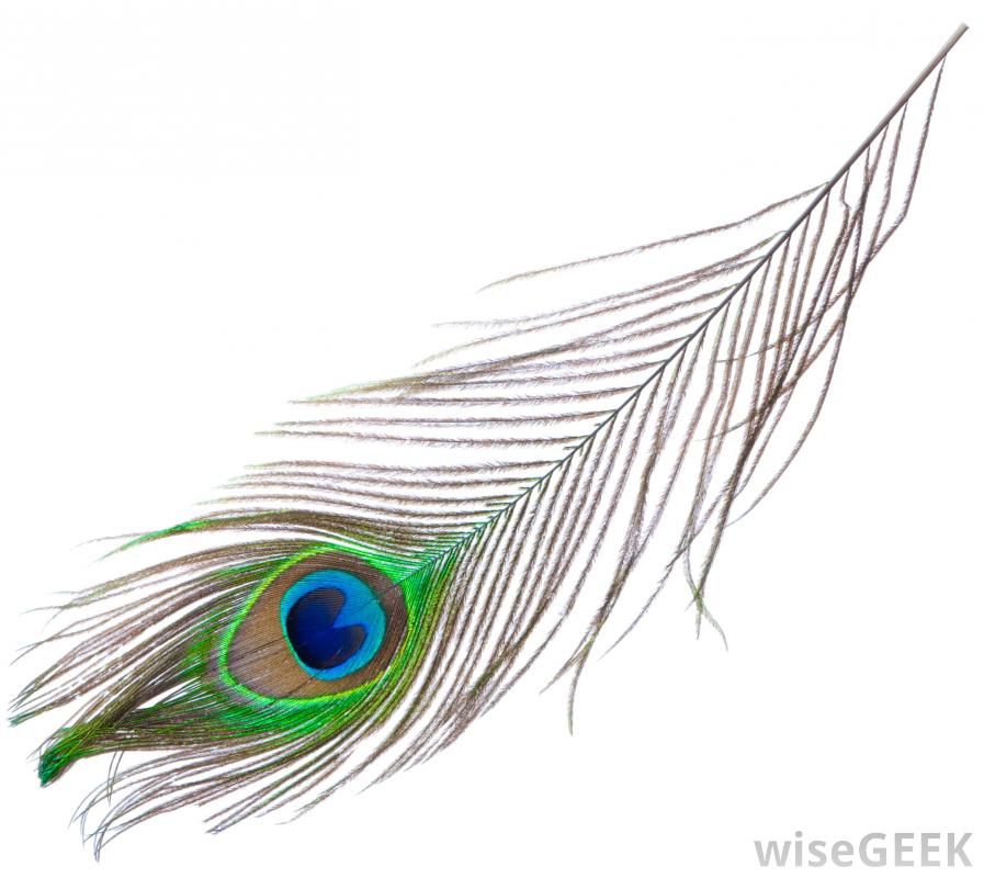 Peacock Tattoos 39