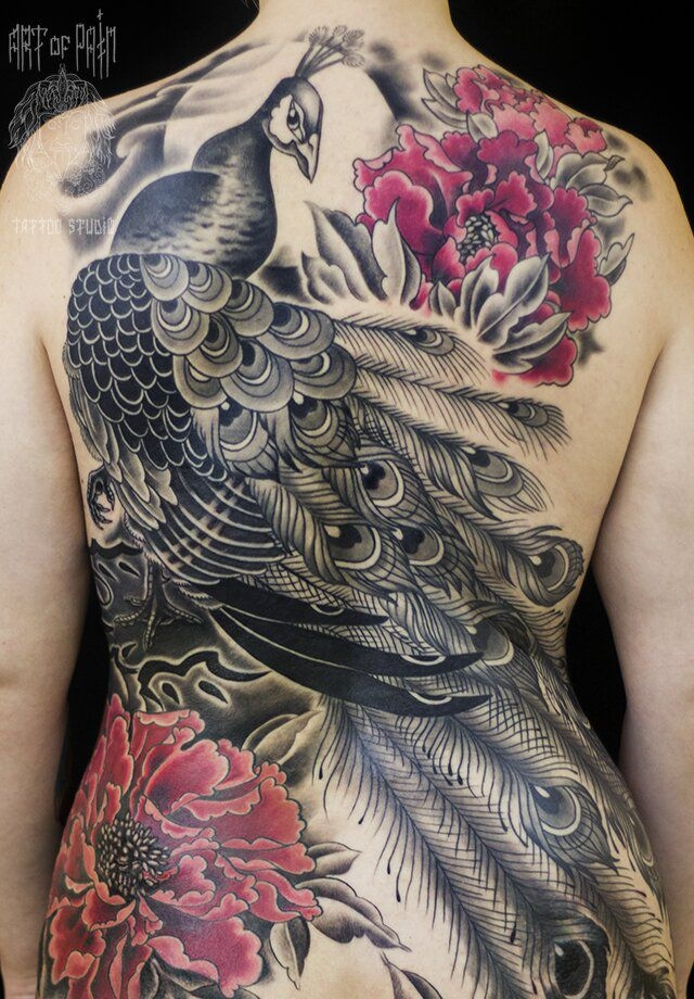 Peacock Tattoos 4