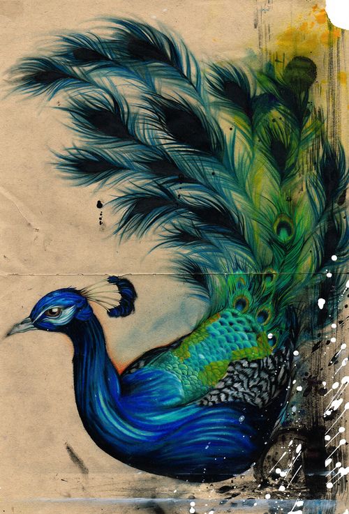Peacock Tattoos 42