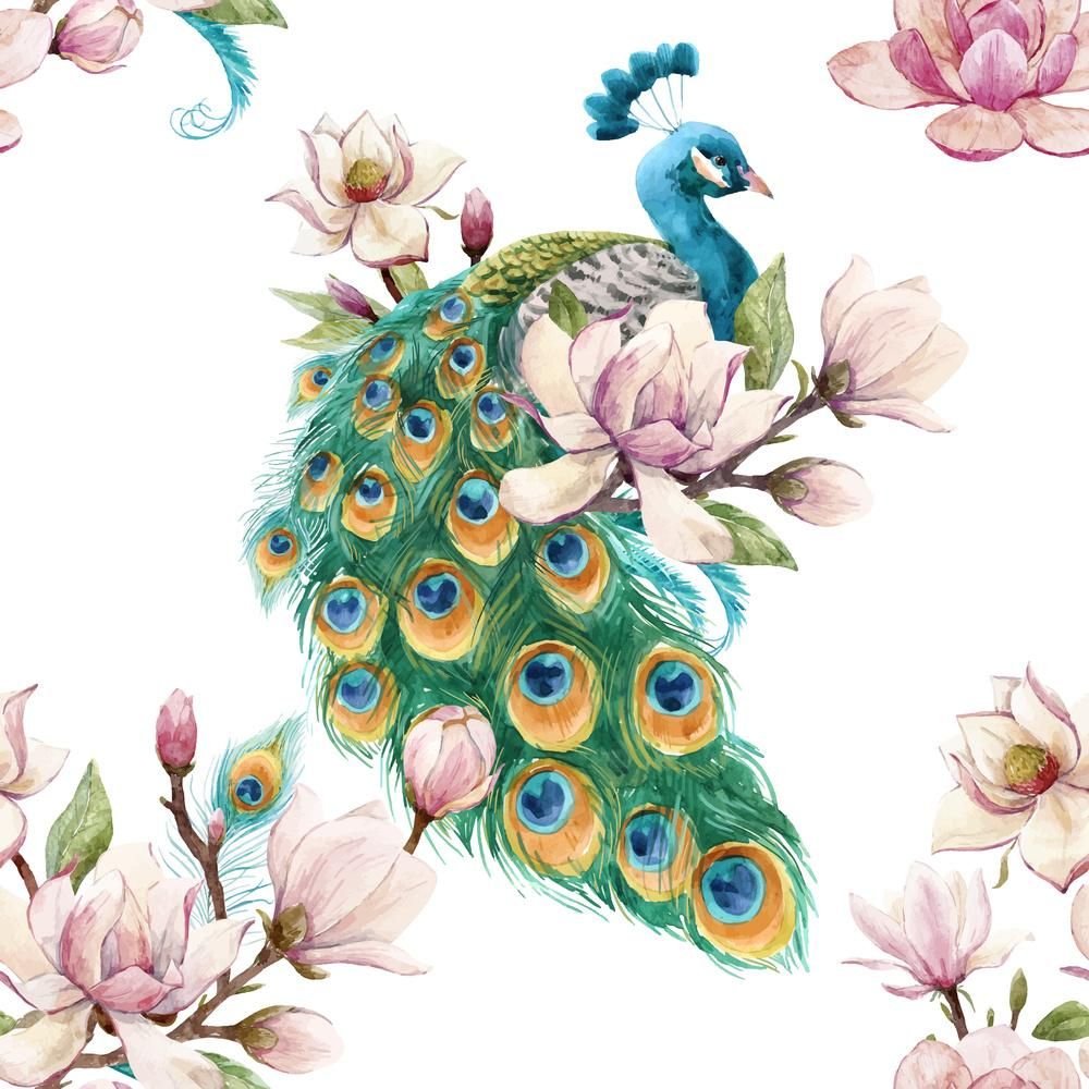 Peacock Tattoos 44