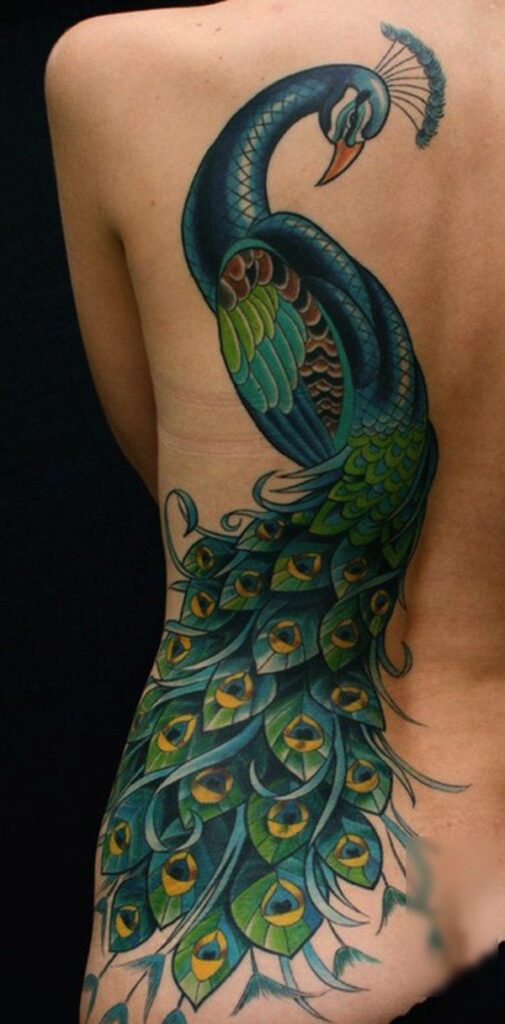 Peacock Tattoos 64