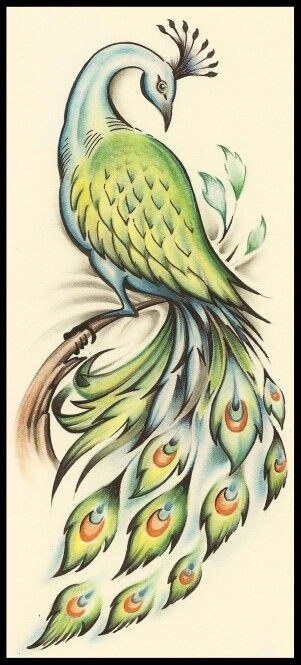 Peacock Tattoos 84