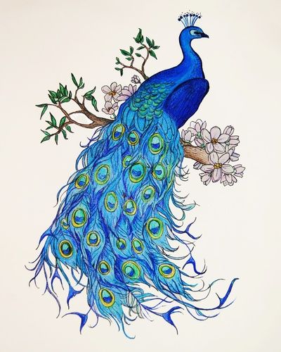 Peacock Tattoos 94