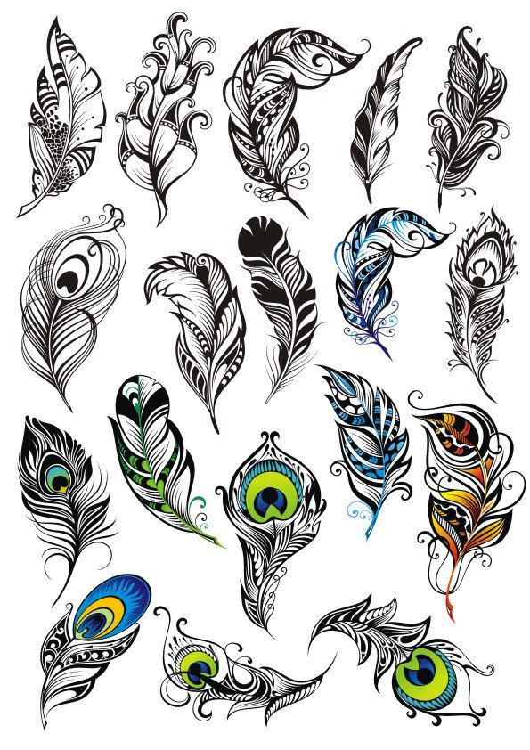Peacock Tattoos 97