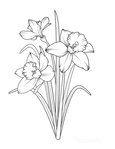 Daffodil Tattoos 10