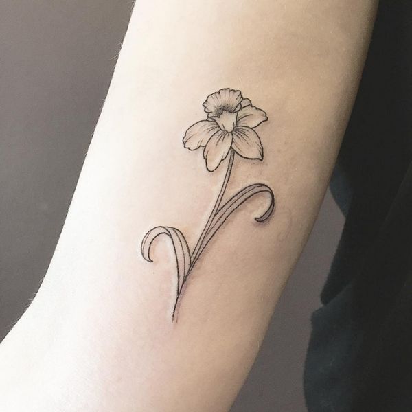 Daffodil Tattoos 101