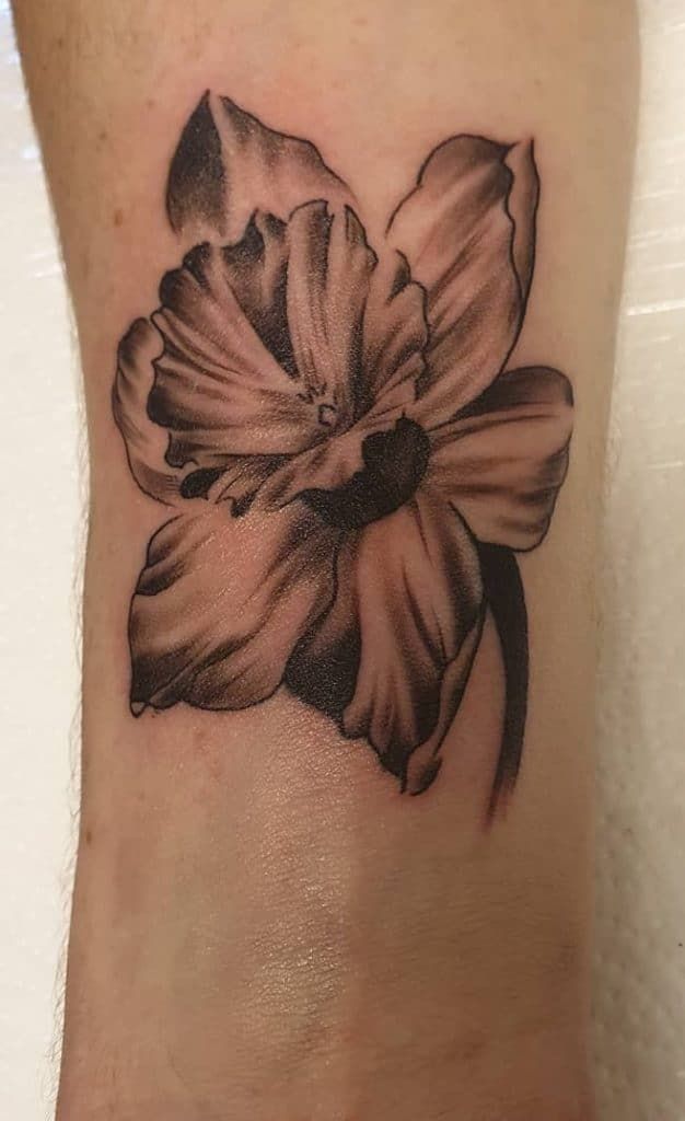 Daffodil Tattoos 124