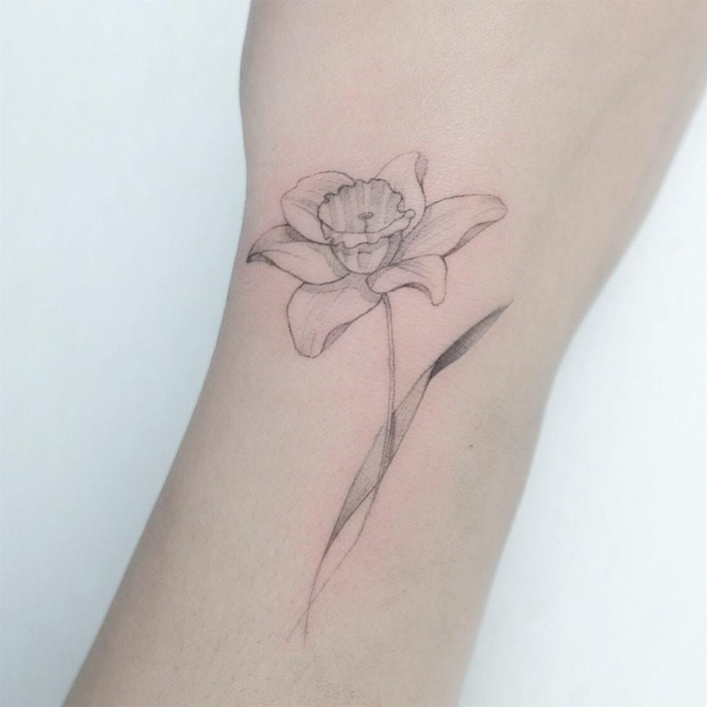 Daffodil Tattoos 129