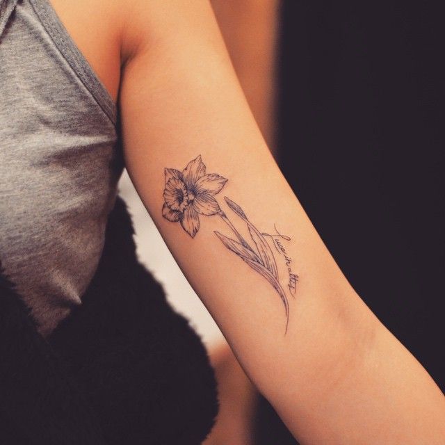 Daffodil Tattoos 145