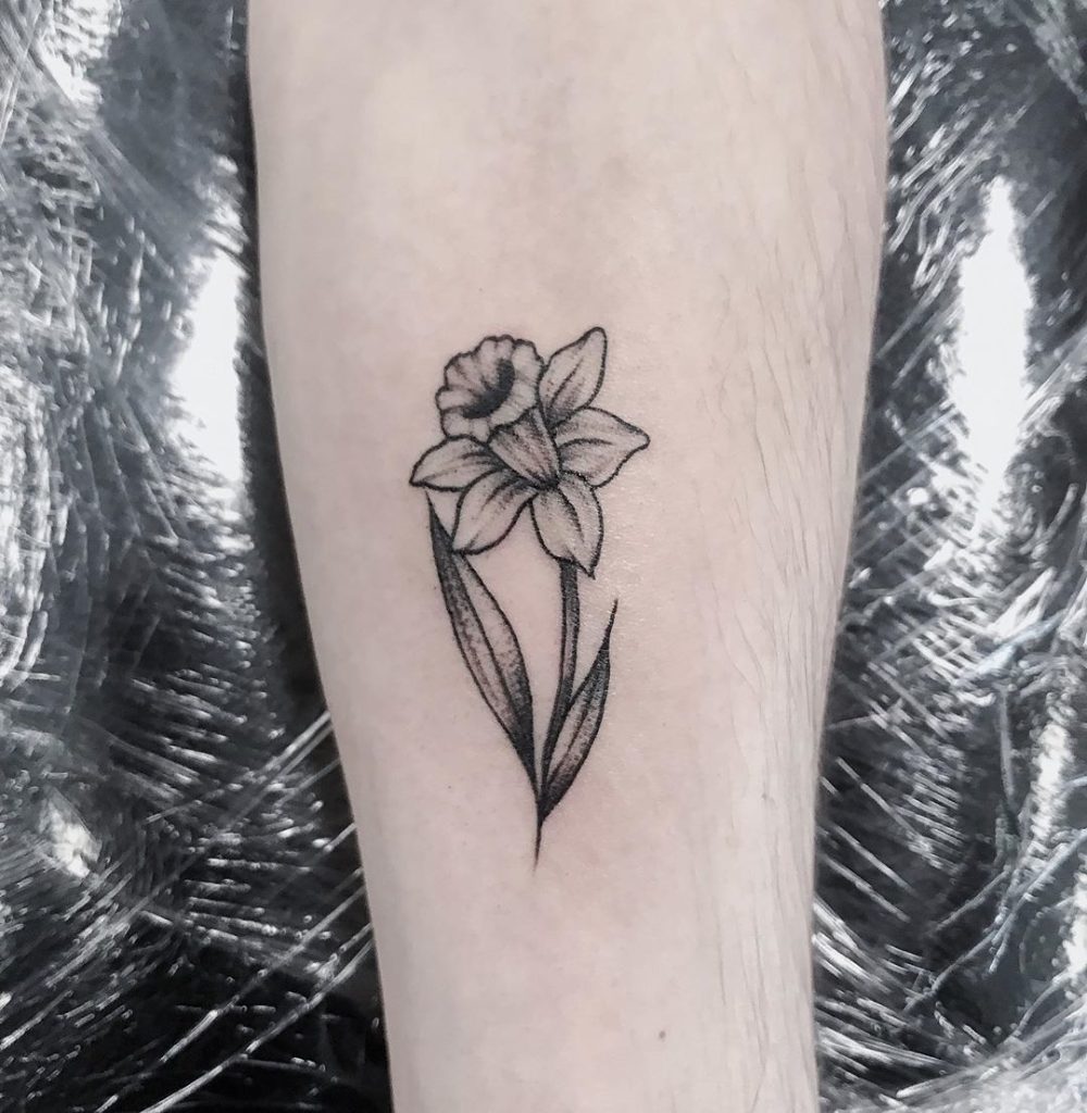 Daffodil Tattoos 146