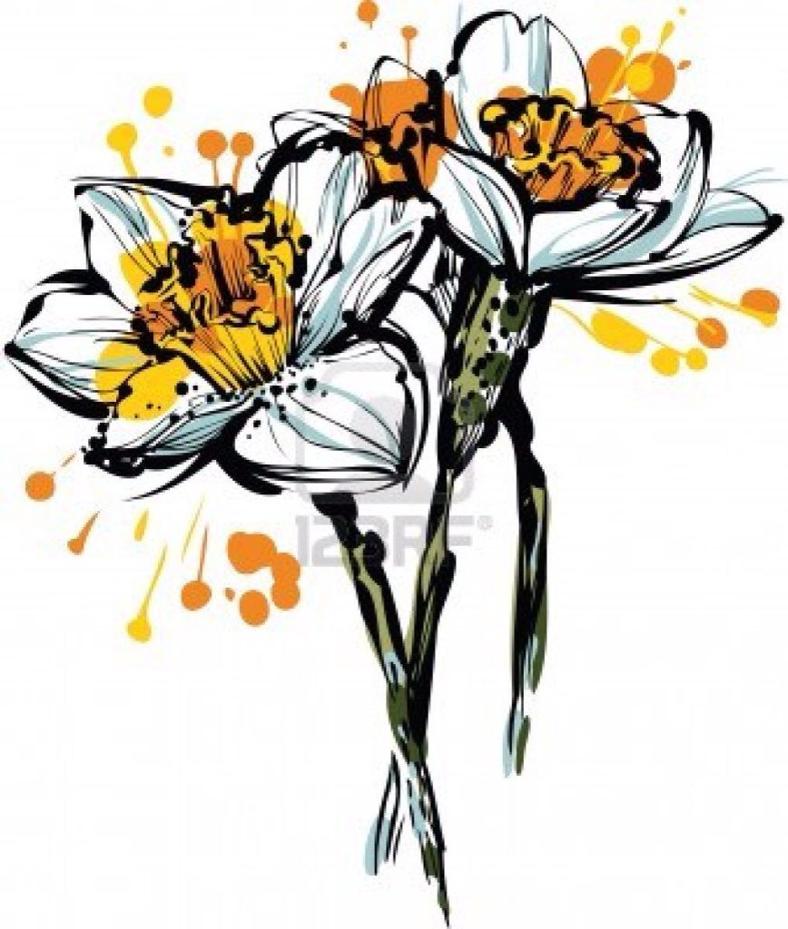 Daffodil Tattoos 147