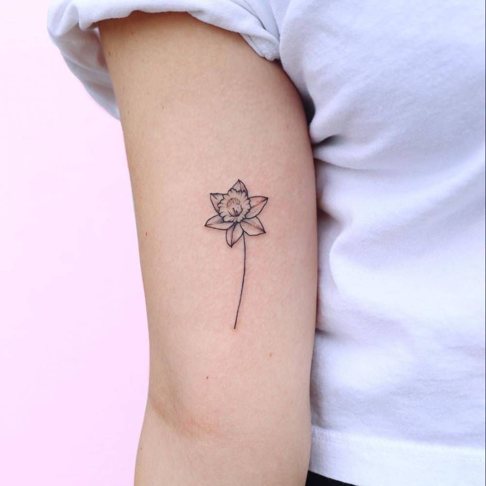 Daffodil Tattoos 148