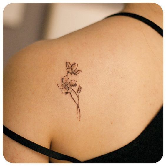 Daffodil Tattoos 16
