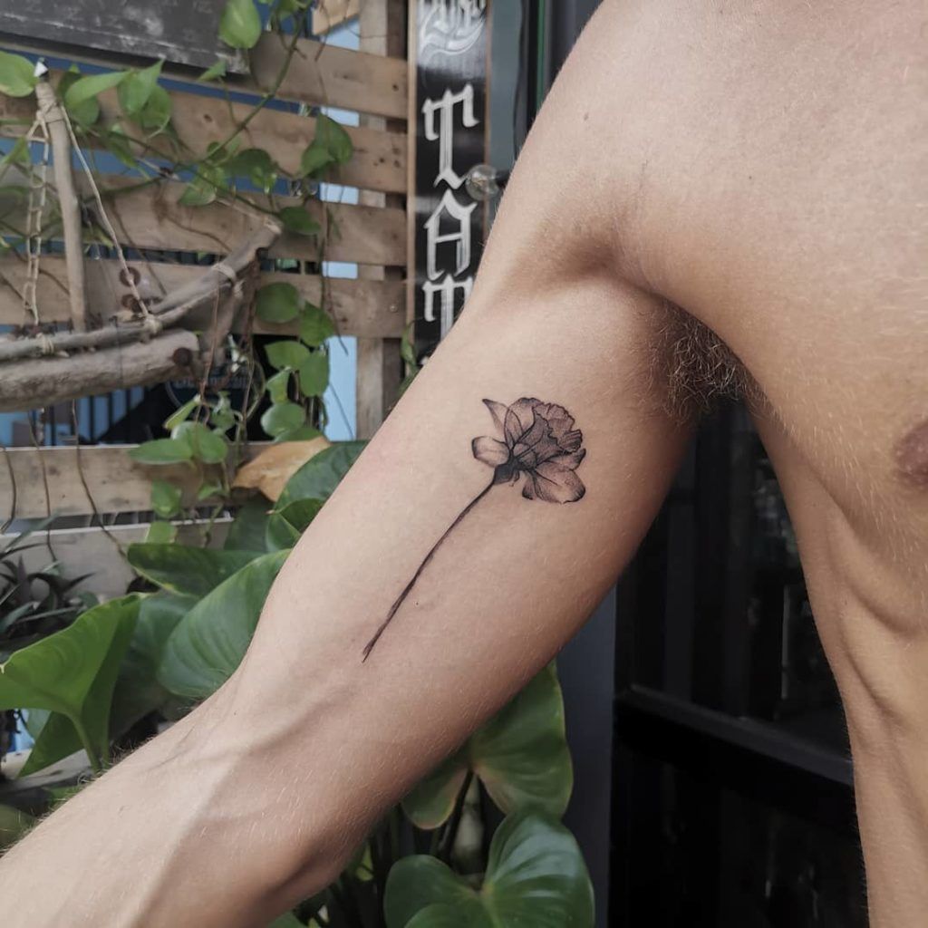 Daffodil Tattoos 160