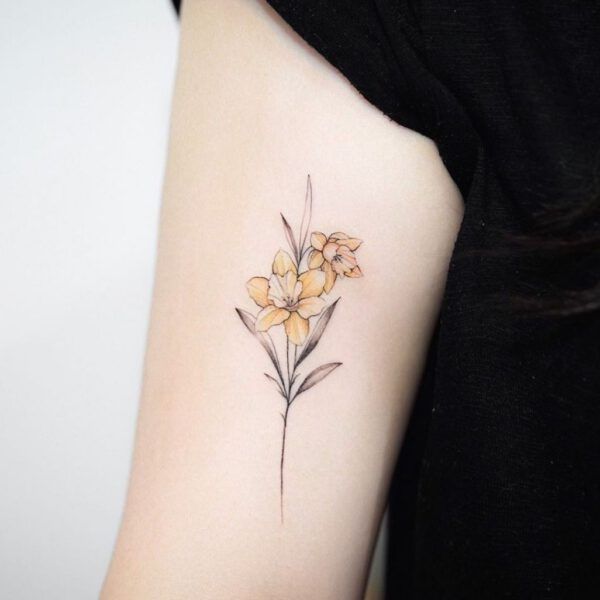 Daffodil Tattoos 161