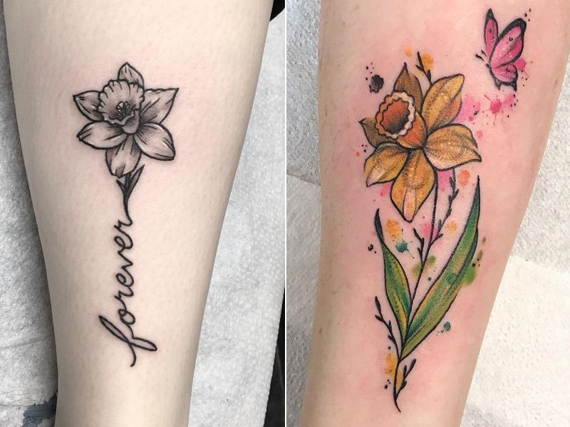 Daffodil Tattoos 168
