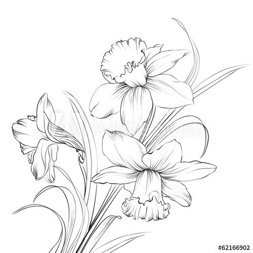 Daffodil Tattoos 22