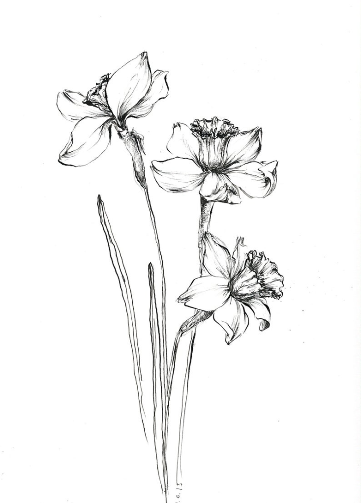 Daffodil Tattoos 3
