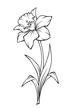 Daffodil Tattoos 31