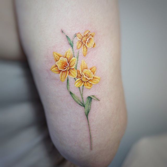 Daffodil Tattoos 56