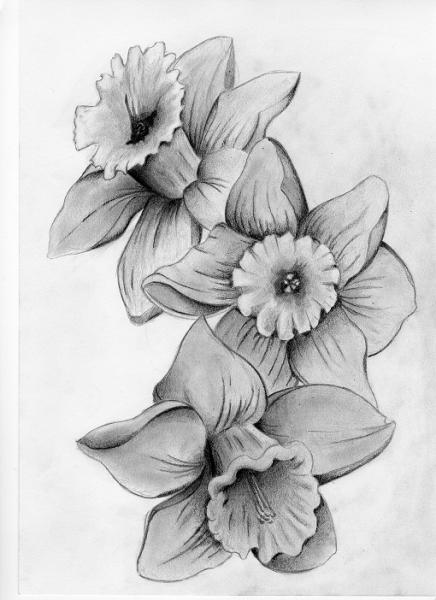 Daffodil Tattoos 7