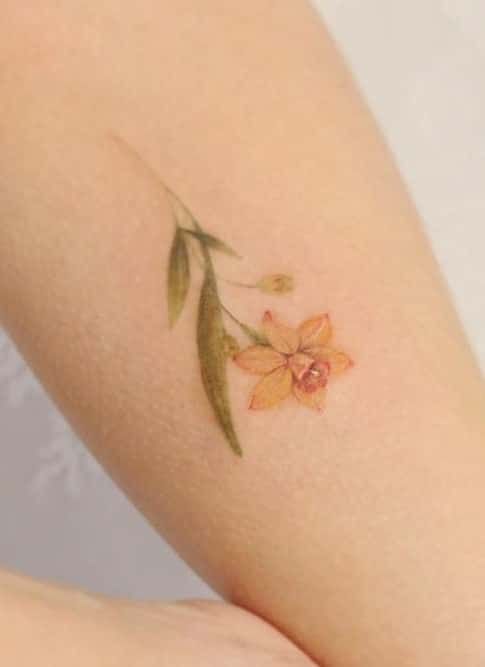 Daffodil Tattoos 78