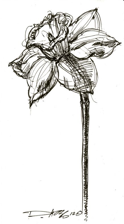 Daffodil Tattoos 8