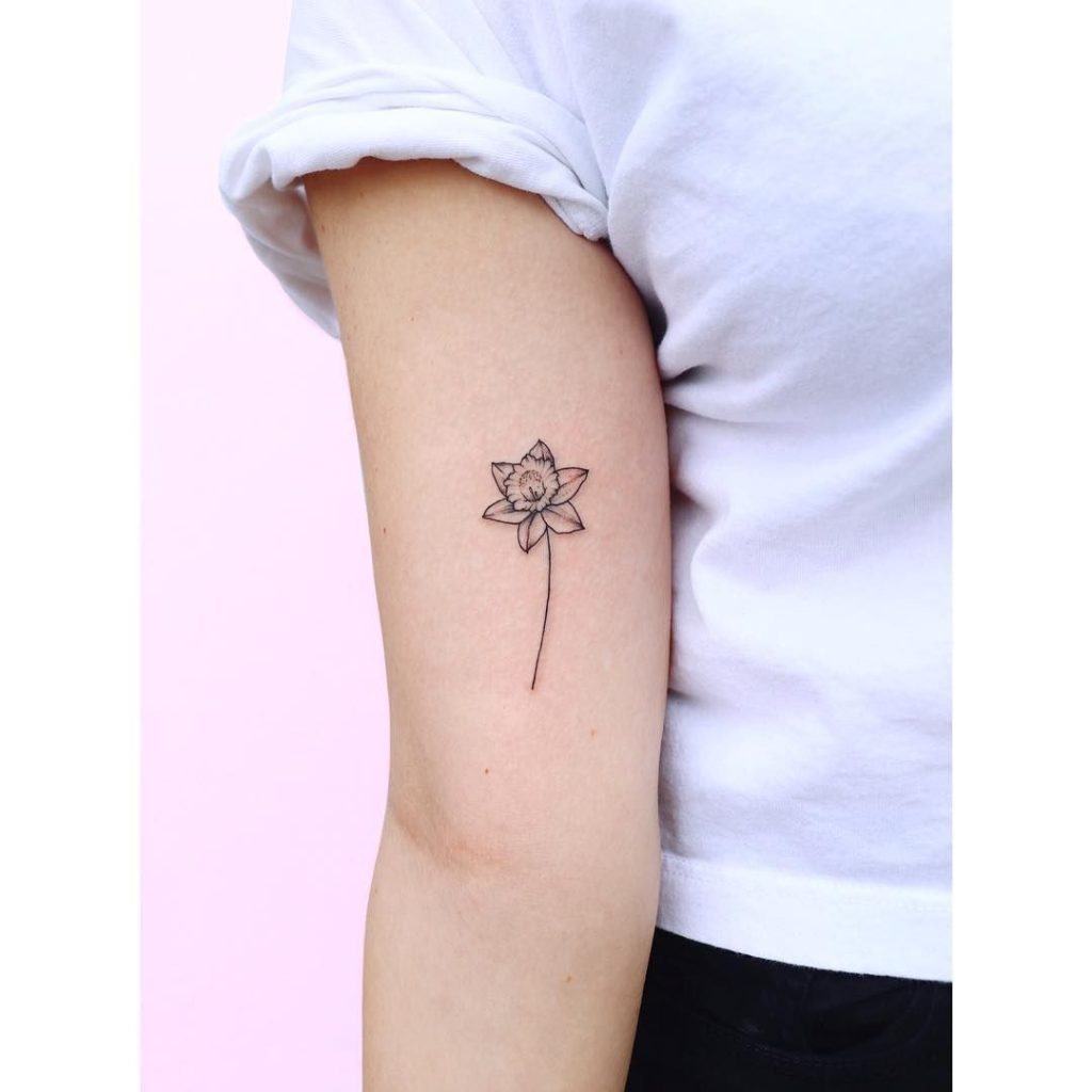 Daffodil Tattoos 92