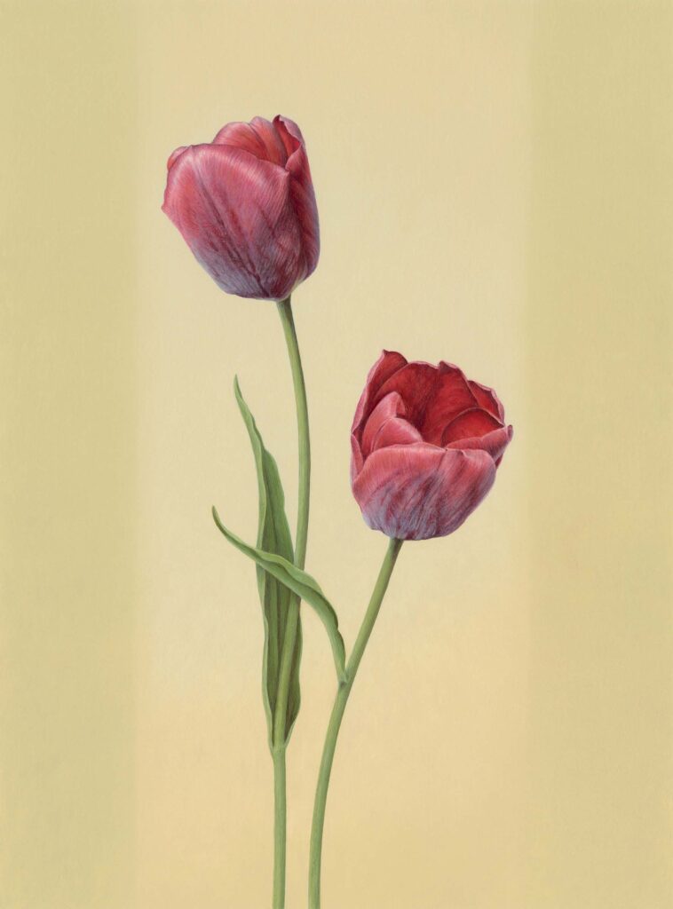 Tulip Tattoos 106