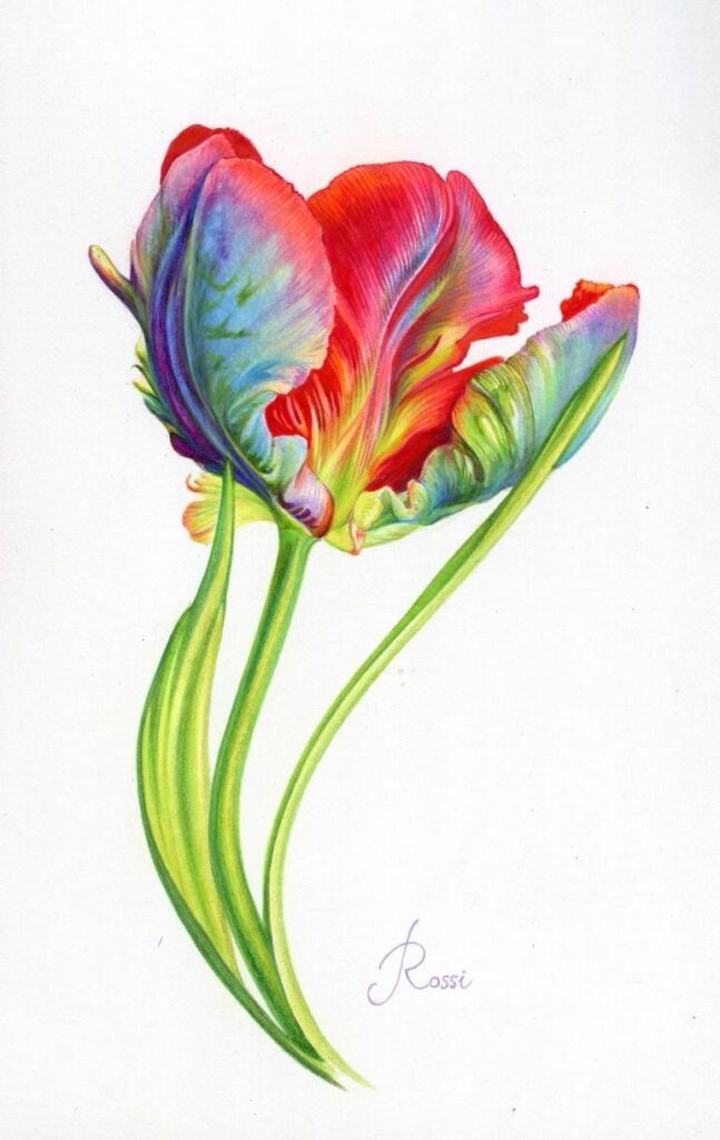 Tulip Tattoos 139