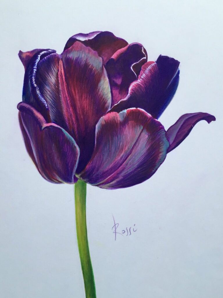 Tulip Tattoos 177