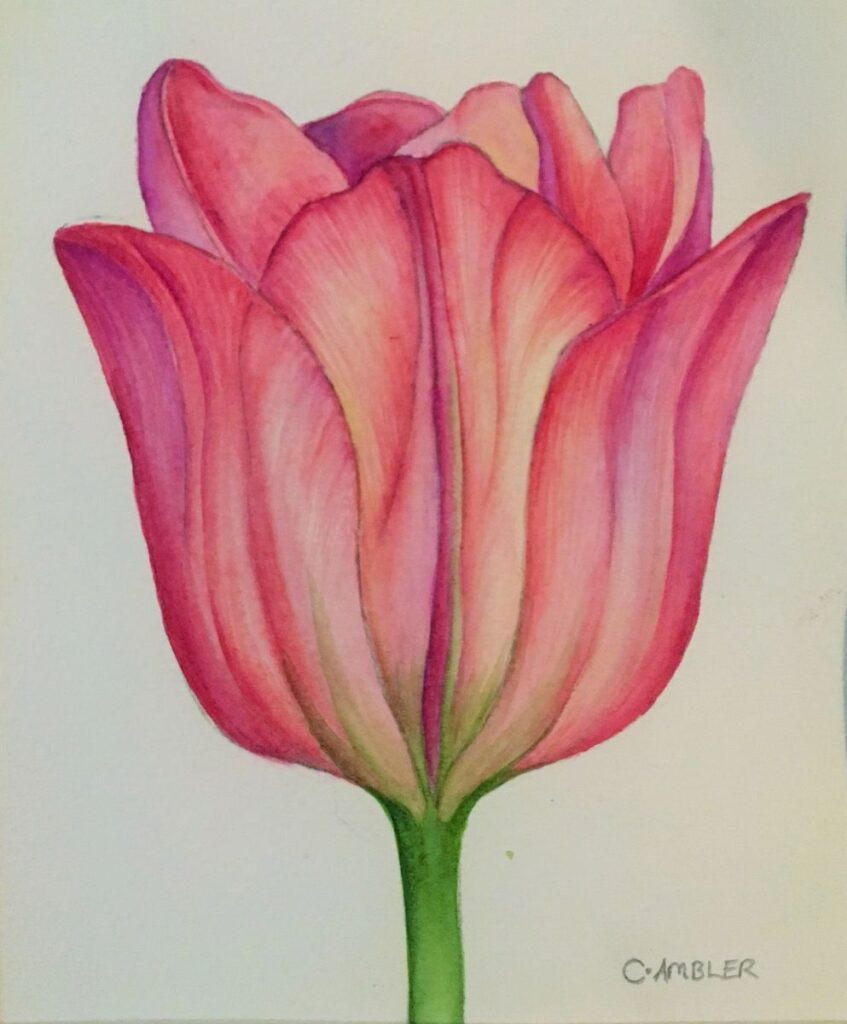 Tulip Tattoos 25