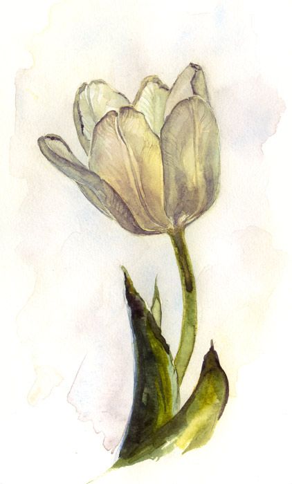 Tulip Tattoos 29