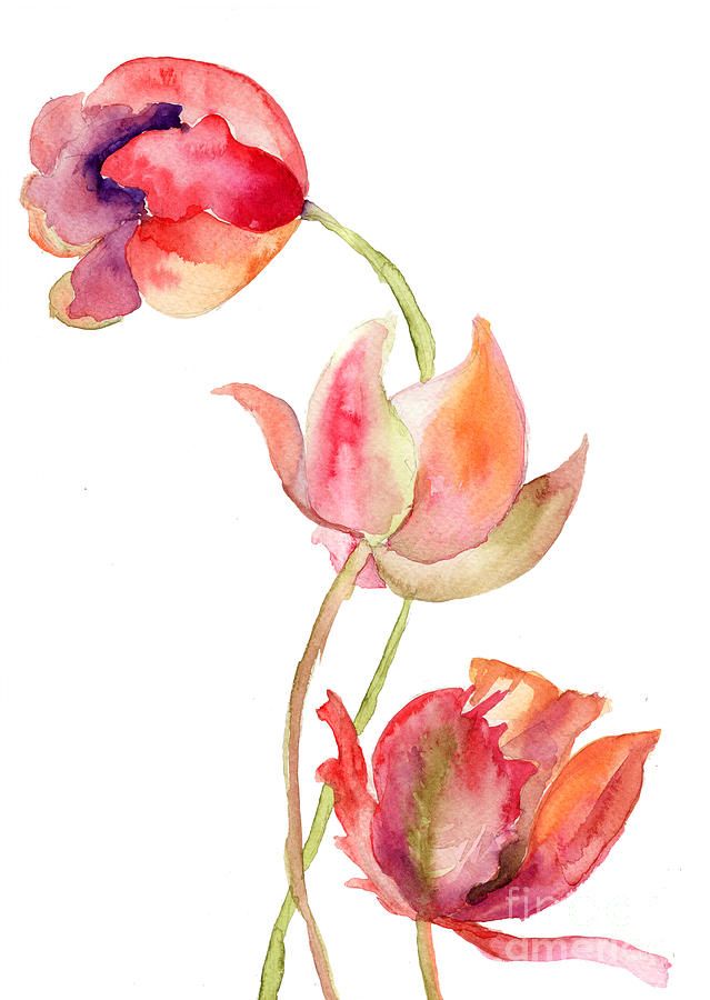 Tulip Tattoos 40