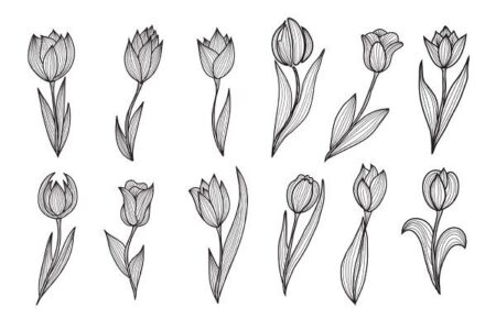 190+ Vibrant Tulip Tattoos Designs and Ideas (2022) - TattoosBoyGirl