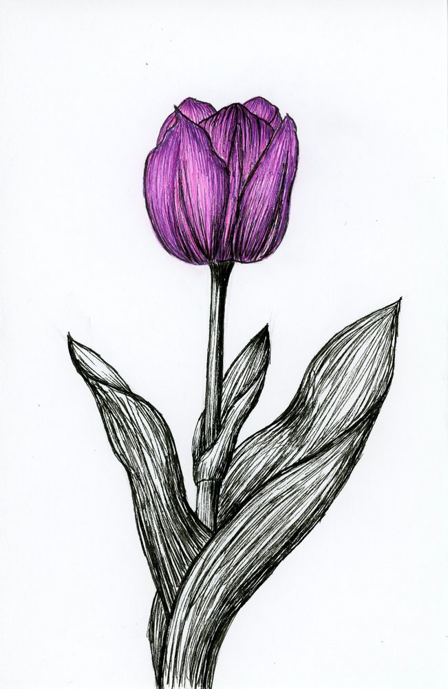 Tulip Tattoos 70