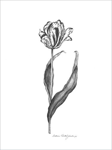 Tulip Tattoos 93