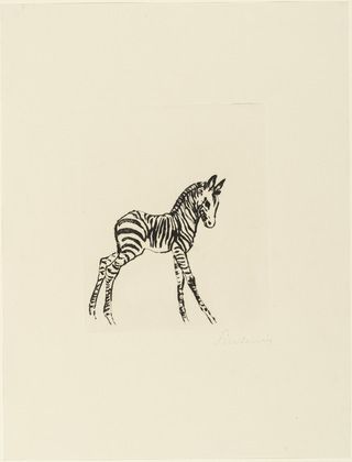 Zebra Tattoos 107